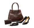 Crocodile leather fashion products Royalty Free Stock Photo