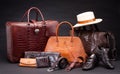 Crocodile leather fashion products Royalty Free Stock Photo