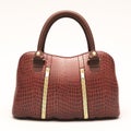 Crocodile leather handbag isolated