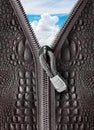Crocodile leather with zipper