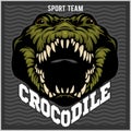 Crocodile mascot for a sport team. Vector illustration.