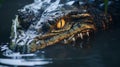 Eerily Realistic Alligator Head In Unreal Engine 5: Intricate Storytelling And Detailed Patterns