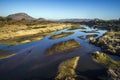 Crocodile river in Kruger National park, South Africa