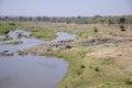 Crocodile rivier Royalty Free Stock Photo