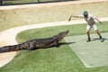 Crocodile show, Australia Zoo