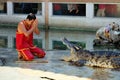 Crocodile Show at Samutprakarn Crocodile Farm and Zoo, Thailand