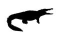 Crocodile silhoutte in black color Royalty Free Stock Photo