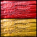 Crocodile skin