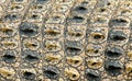 Crocodile skin