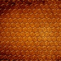 Crocodile skin