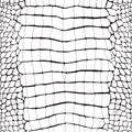 Crocodile Skin Black and White Seamless Pattern