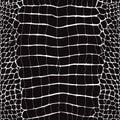 Crocodile Skin Black and White Seamless Pattern