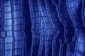 Crocodile skin blue color leather texture background Royalty Free Stock Photo
