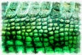 Crocodile skin pattern