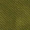 Crocodile skin texture Royalty Free Stock Photo