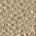 Crocodile Skin Texture Royalty Free Stock Photo