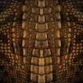 Crocodile skin texture Royalty Free Stock Photo