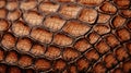Crocodile skin textured background. Brown alligator scales. Concepts of texture, luxury materials, exotic leather