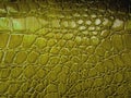 Crocodile or snake skin texture background. Royalty Free Stock Photo