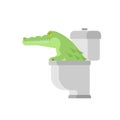 Crocodile in toilet. Alligator in sewer. Predator animal. City l