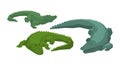 Crocodile vector cartoon crocodilian character of green alligator carnivore illustration animalistic set of dangerous