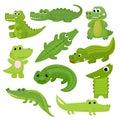 Crocodile vector cartoon crocodilian character of green alligator playing in kids playroom illustration animalistic Royalty Free Stock Photo