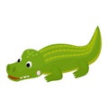 Crocodile vector cartoon crocodilian character of green alligator playing in kids playroom illustration animalistic