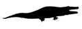 Crocodile. Vector drawing icon sign Royalty Free Stock Photo