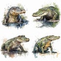 crocodile watercolor illustration set