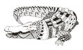 Crocodile zentangle stylized, vector, illustration, pattern
