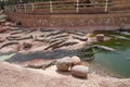 Crocodiles, Alligators in Morocco. Crocodile farm in Agadir.