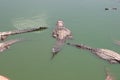 Crocodiles alligators in the river in North Africa