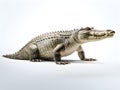 Crocodiles are a family of large reptiles. Generative AI