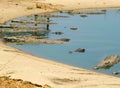 Crocodiles - Kariba Lake, Zimbabwe