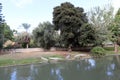 Crocodiles live by the river in the nursery