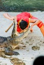 Crocodiles Open your mouth 2 Royalty Free Stock Photo