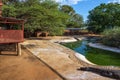 Crocodiles relaxing in an artificial lake at the Crocodile Farm in Namibia