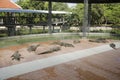 Crocodiles sleeping and resting in the park of Bueng Boraphet pu Royalty Free Stock Photo