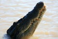 Crocodille River Kakadu National Park, Australia Royalty Free Stock Photo