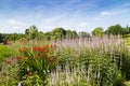 Crocosmia and Veronica flowers in a garden`s border. Royalty Free Stock Photo