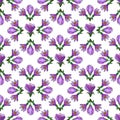 Crocus abstract pattern on a white background and crocus floral elements