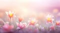 Crocus blossoms on pink background with soft bokeh lights created with Generative AI Royalty Free Stock Photo