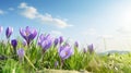 Crocus In Bright Green Field: Accurate And Detailed Realism