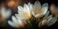 Crocus Bud flower blooming in the beginning of spring. AI Generated Royalty Free Stock Photo