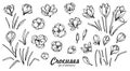 Crocus flower bud and leaves spring primroses set constructor for design card and greeting outline black white sketch Royalty Free Stock Photo