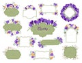 Crocus flower frames flat icons set. Special bright yellow, purple, or white flowers spring-flowering plant