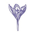 Crocus flower imitation of mouline thread embroidery design element