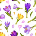 Crocus Flower Seamless Pattern with Yellow and Purple Meadow Flora Vector Template