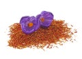 Crocus flowers and dried saffron spice isolated on white background Royalty Free Stock Photo