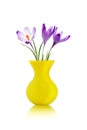 Crocus flowers in yellow vase